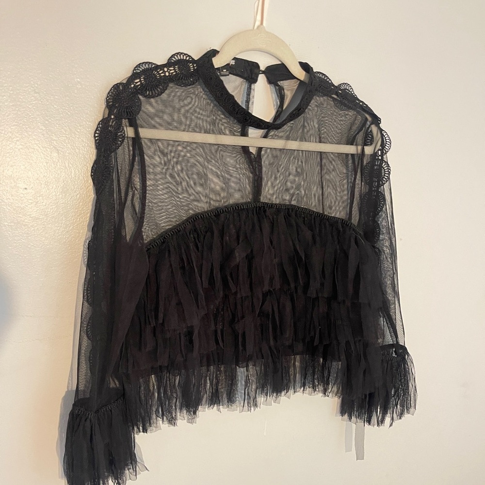 Sheer Black Mesh Crop Top